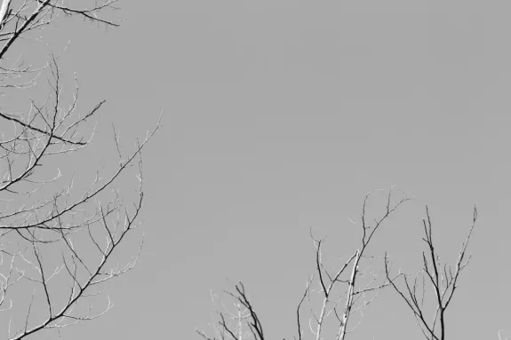 XCasino Kasyno Wsparcie